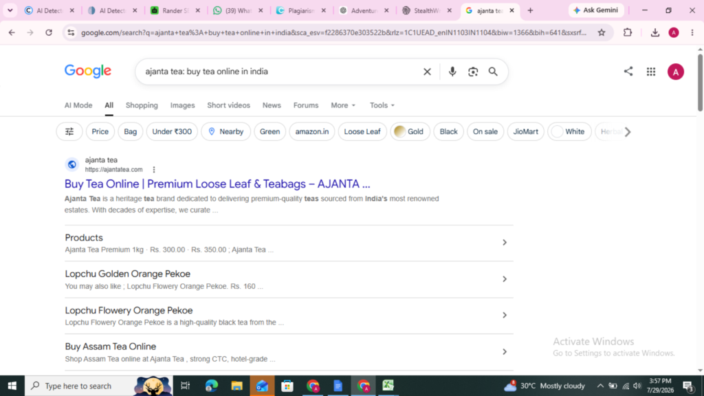 Seo company in rander